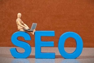 ai nen hoc seo va hoc seo can gi
